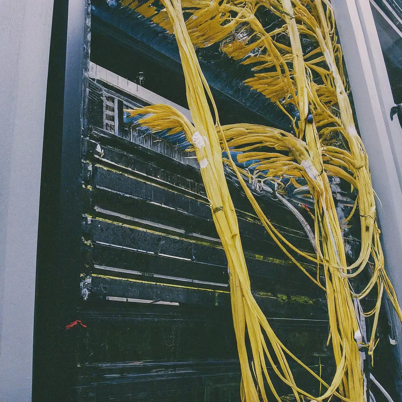 Servers and network cables in a modern data center. 35mm stock photo