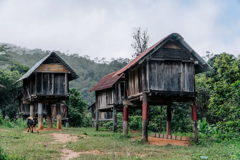 Wooden Houses in Village in Forest