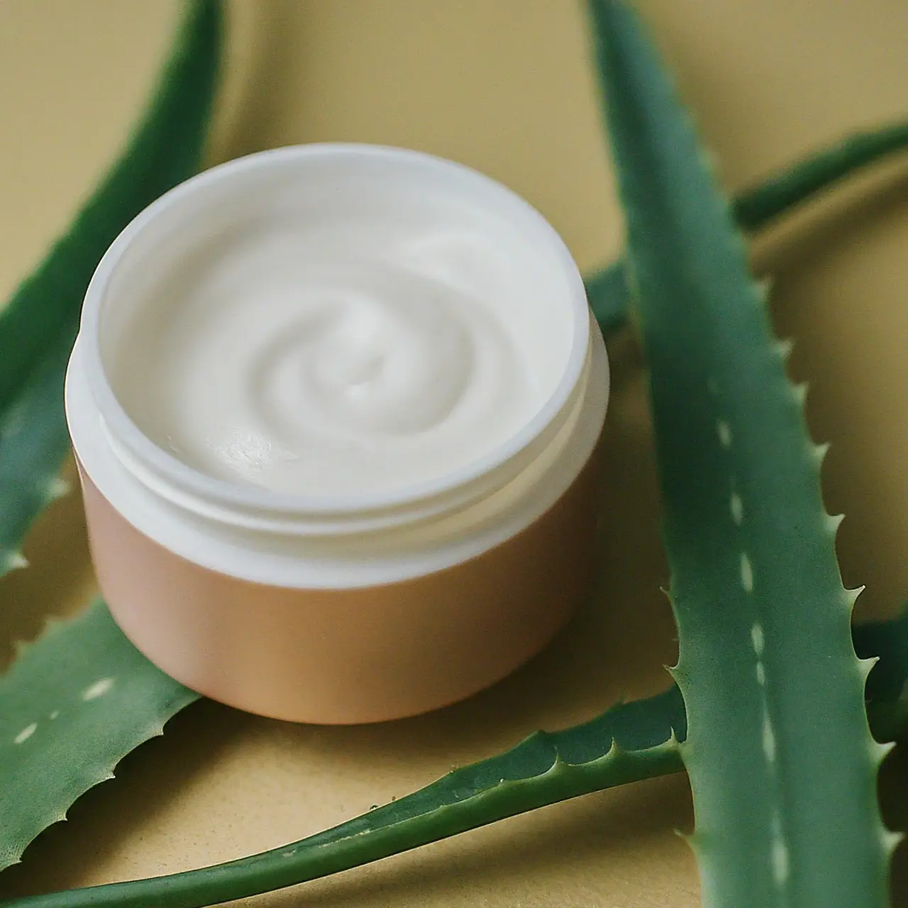 A luxurious jar of firming cream with aloe vera leaves. 35mm stock photo