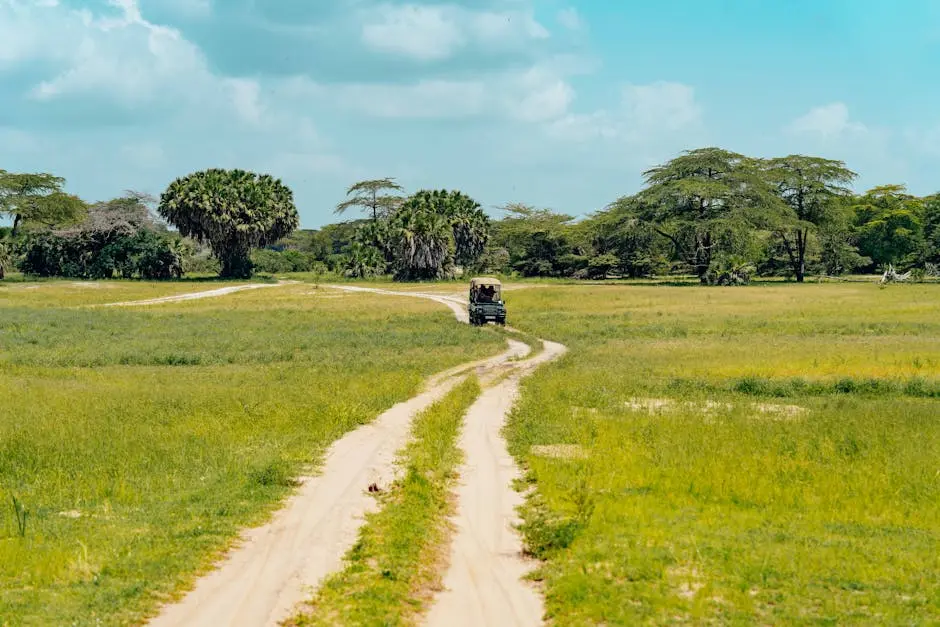 A safari vehicle travels through a scenic savannah landscape on a sunny day.