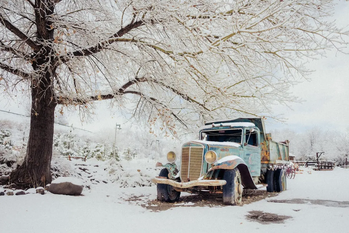 Abandoned vintage dump truck under a snow-covered tree in a serene winter scene in Reno, Nevada.