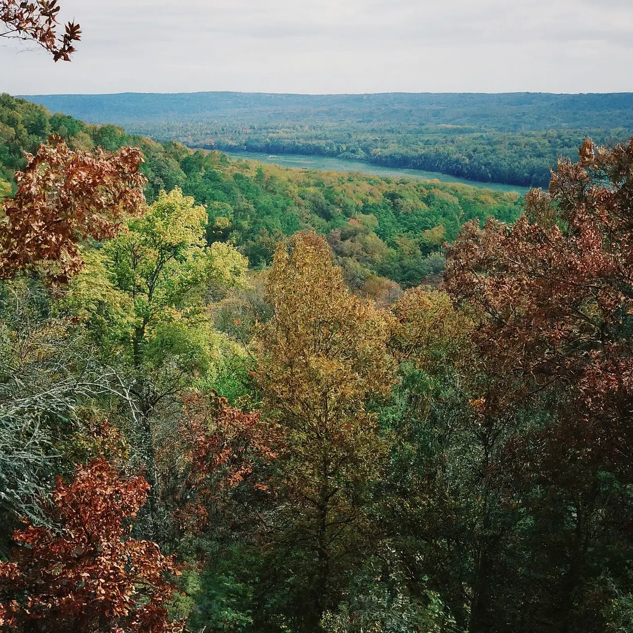 Scenic landscape of the Ozark Mountains in Northwest Arkansas. 35mm stock photo