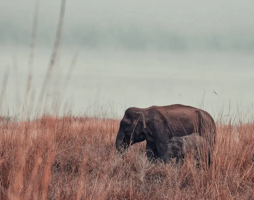 A mother and baby elephant roam the African savanna, showcasing wildlife in its natural habitat.