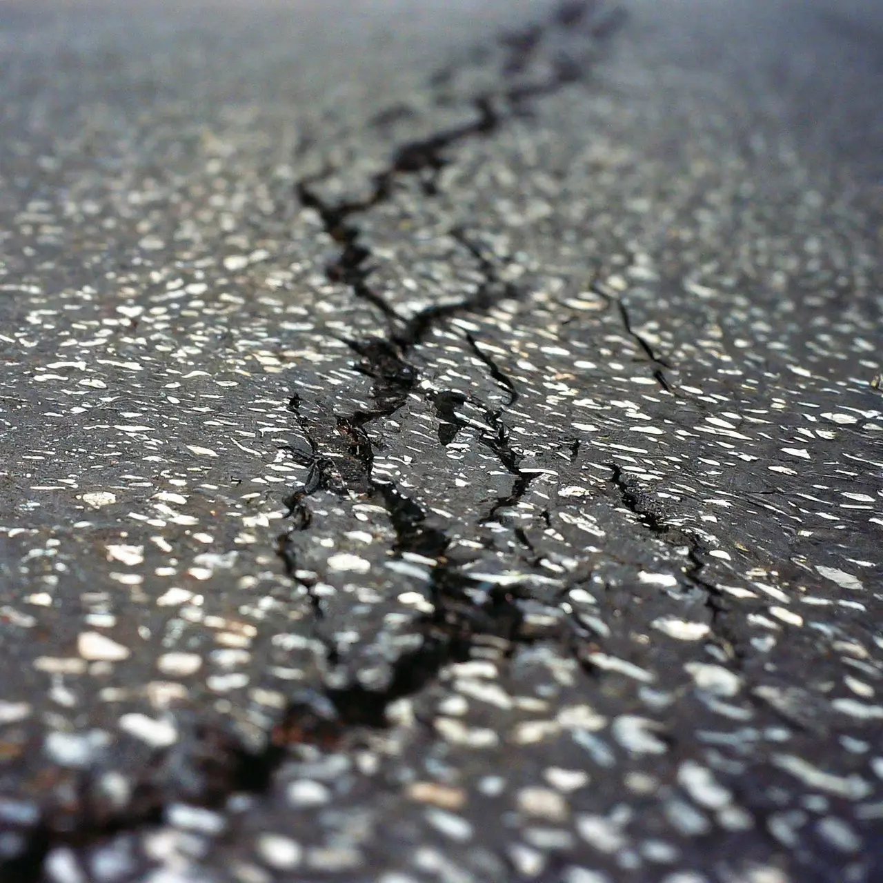 A close-up of cracked asphalt in need of repair. 35mm stock photo