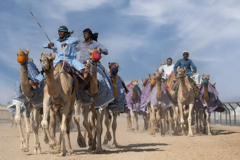 Exciting camel race with riders in traditional attire in Dubai desert.