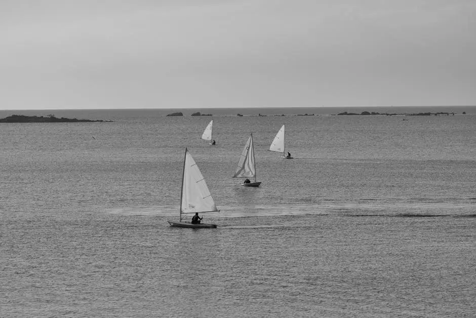 Sailboats in Sea