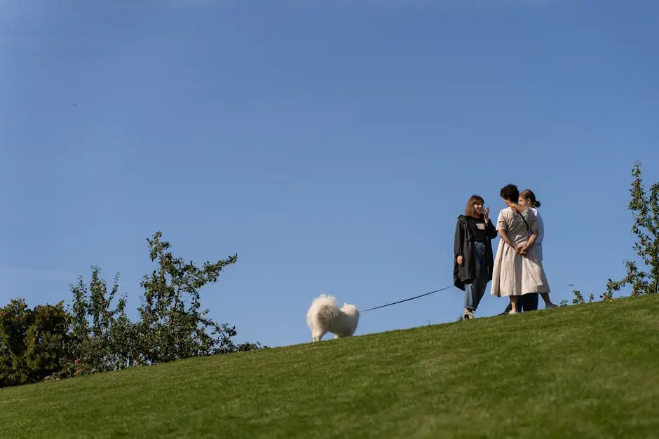 Two people are walking a dog on a grassy hill