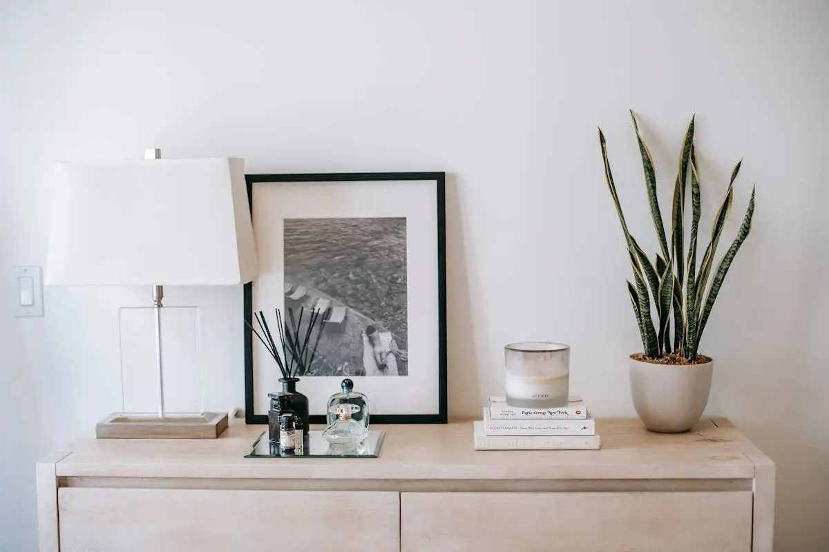 Photo with potted plant on chest of drawers in room