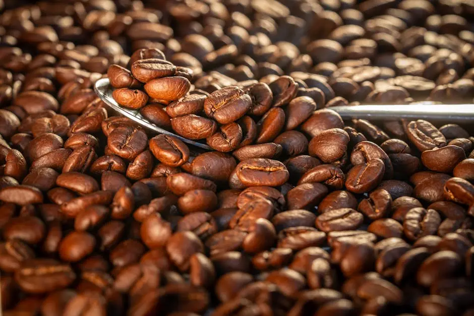 Coffee Beans