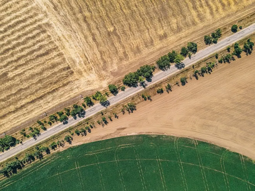 Drone shot showing diverse agricultural fields divided by a rural road.