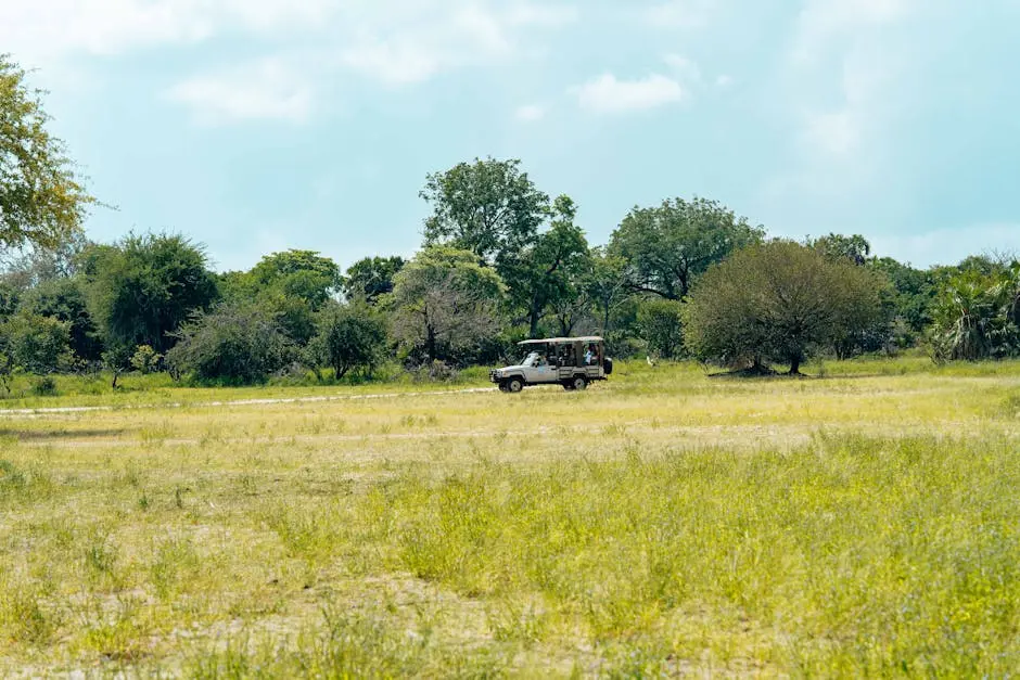 A safari vehicle traverses a vast savannah, surrounded by lush greenery under a bright sky.