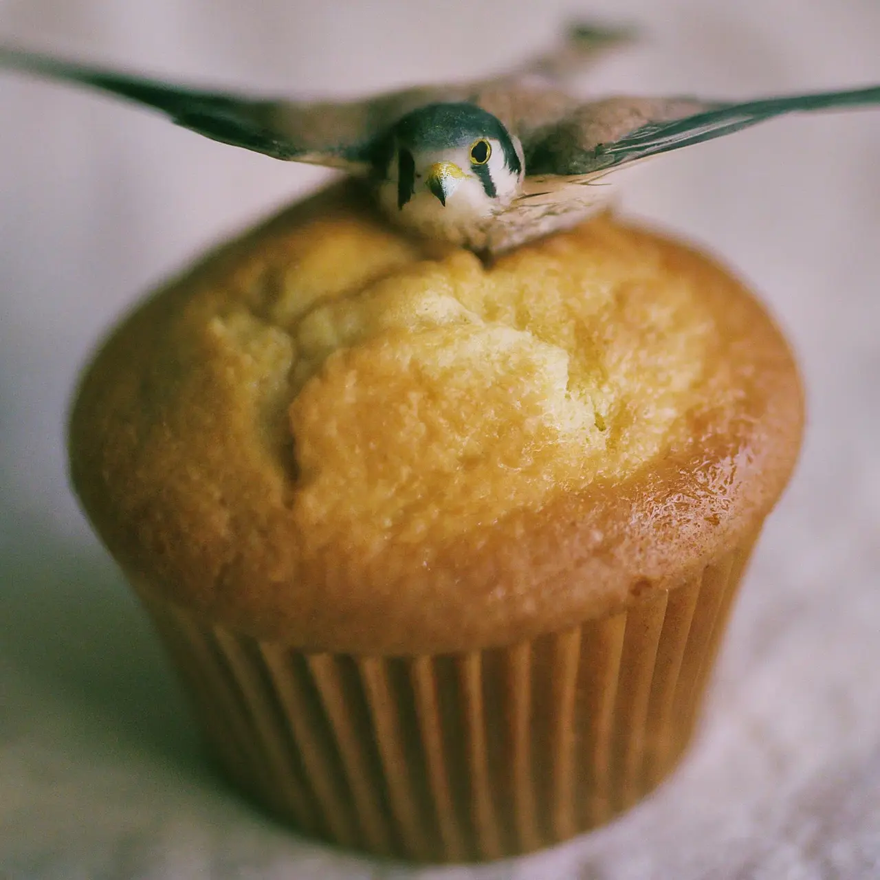 A colorful muffin topper on a freshly baked cupcake. 35mm stock photo