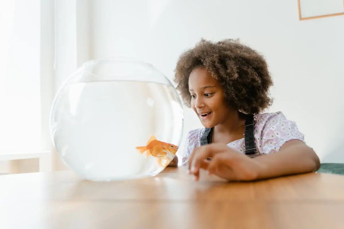 Small Girl Enjoying Goldfish in the Aquarium to learn how to care for animals