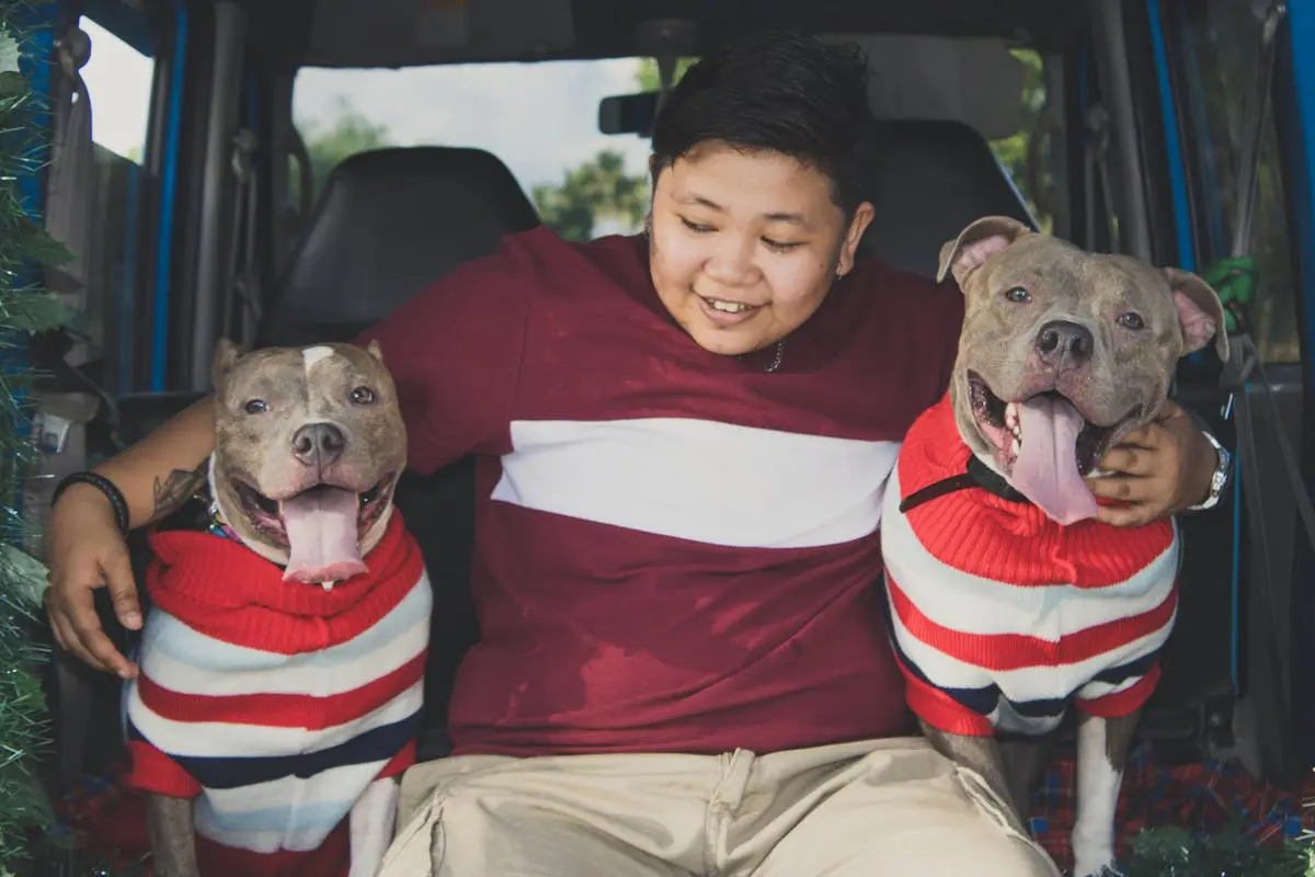 A Boy with His Pit Bull Dogs