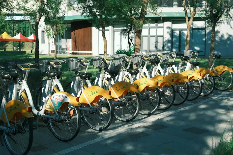 A sunny view of rental bicycles lined up in an urban park, ready for use.