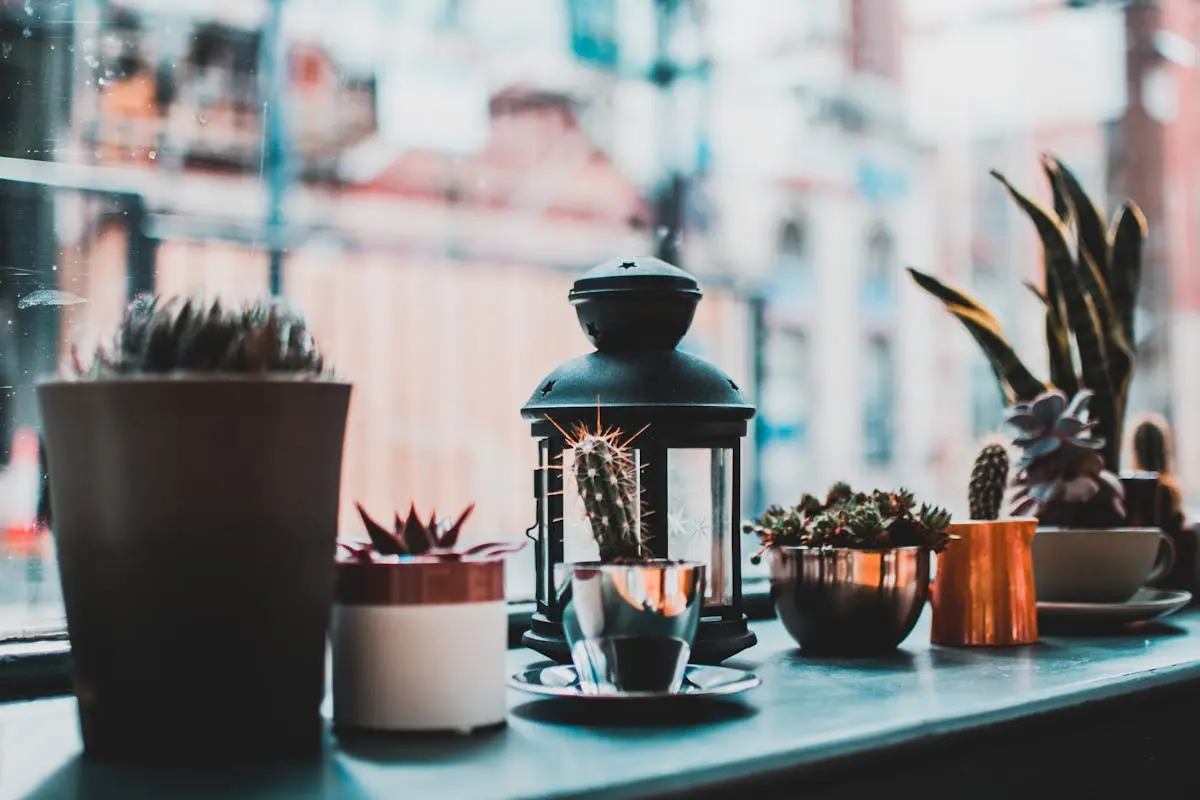 Eight Plants in Pots by the Window