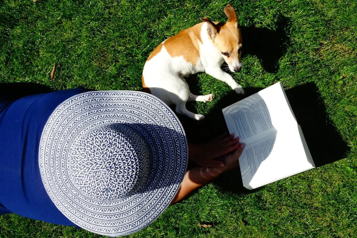 Short-coated White and Brown Dog