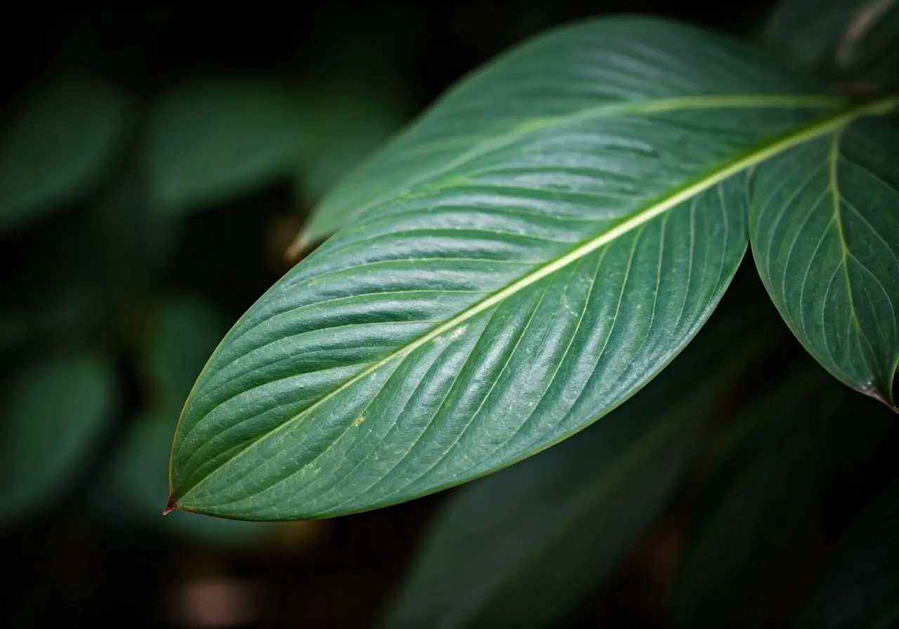 Close-up of a plant leaf showing natural healing process. 35mm stock photo