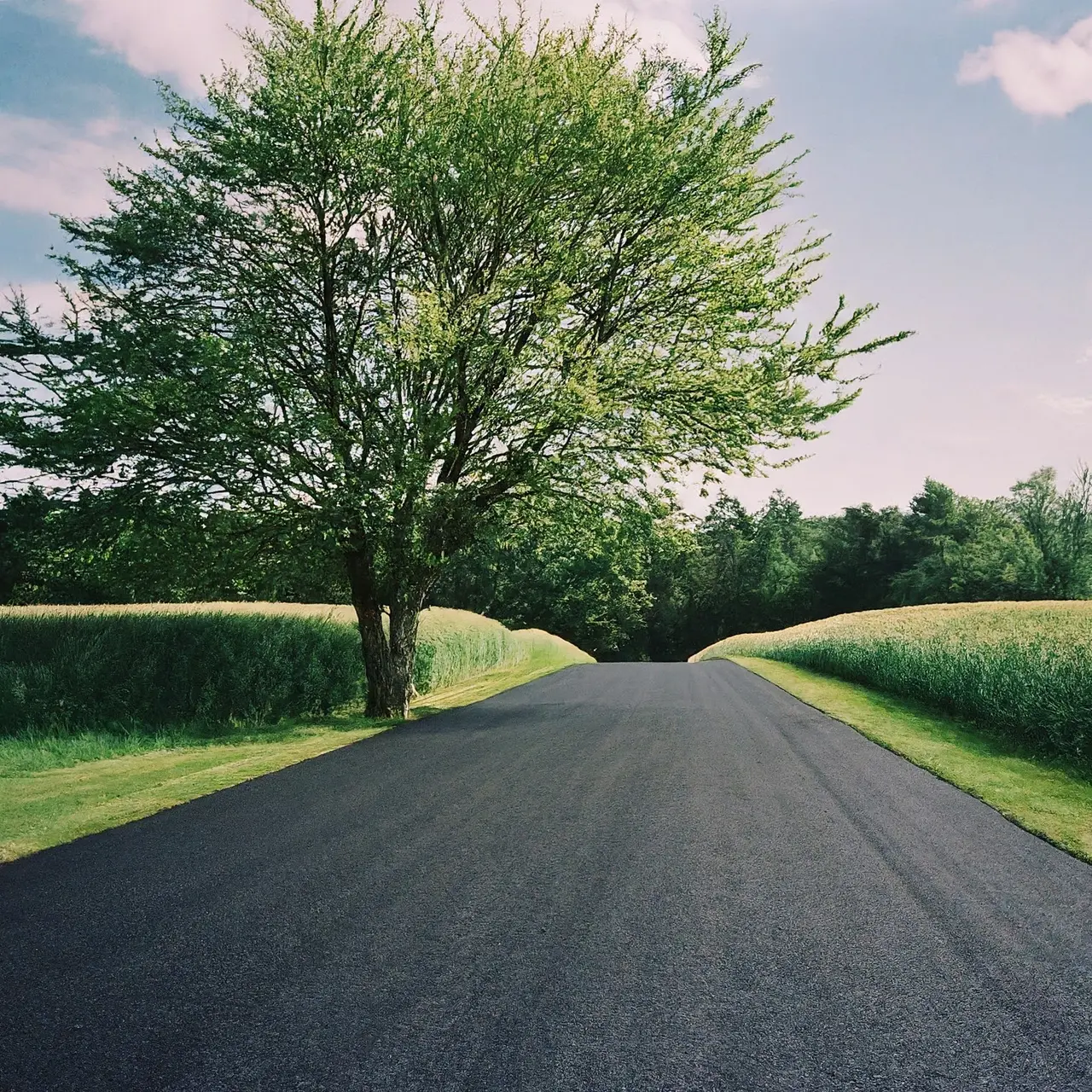 A freshly laid tar driveway on a sunny day. 35mm stock photo