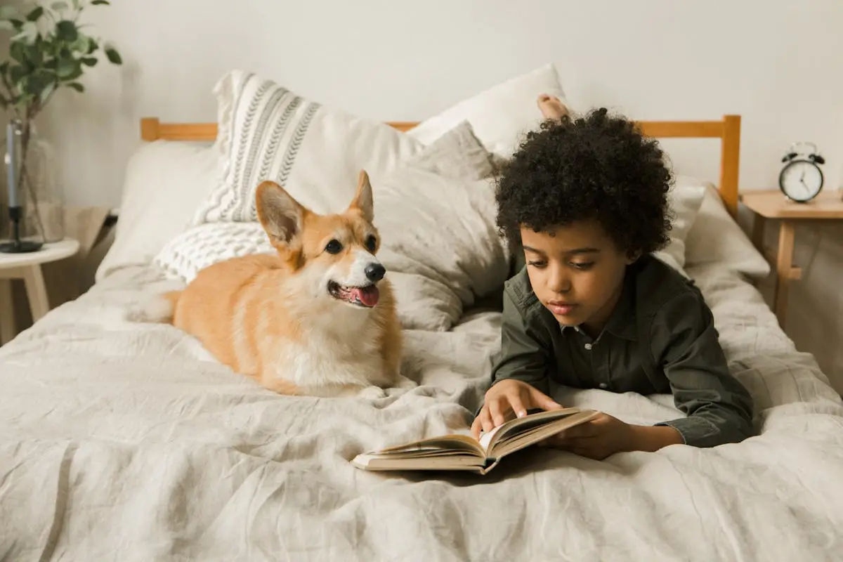 Little Boy Lying in Bed with a Corgi Dog stuffed animal