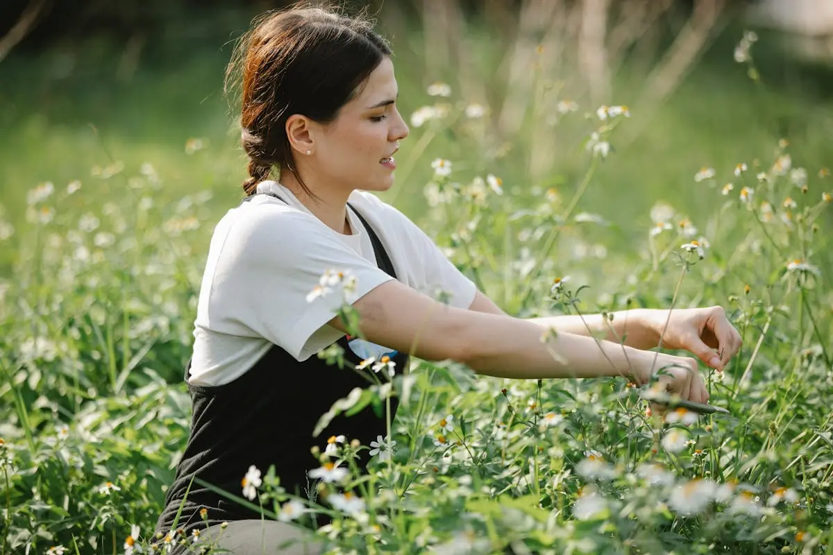 Side view of serious young woman in t shirt and overall collecting daisies on grassy meadow in sunny summer day in nature