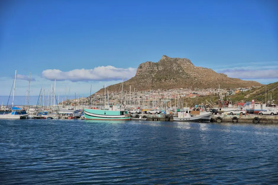 A harbor with boats docked in it and a mountain in the background