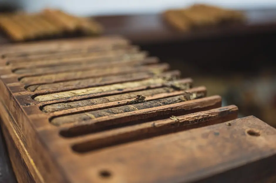 From above closeup of wooden box with narrow rectangular sections with ribbed surface for cigars near table with pile of raw tobacco products in factory