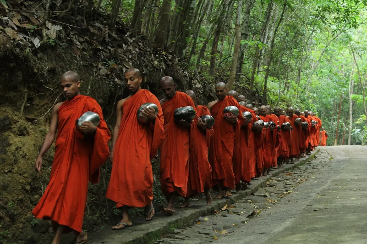 A group of Buddhist monks in orange robes walking serenely along a forest path.