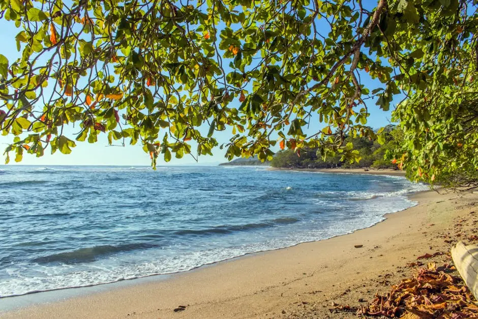 Tranquil beach scene in Puntarenas, Costa Rica with lush greenery and calm waves.