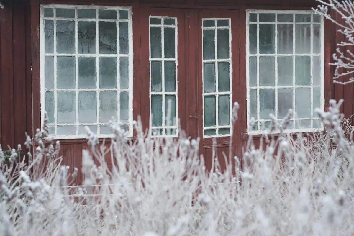 Rustic red house framed by frosty shrubs in a serene winter scene.