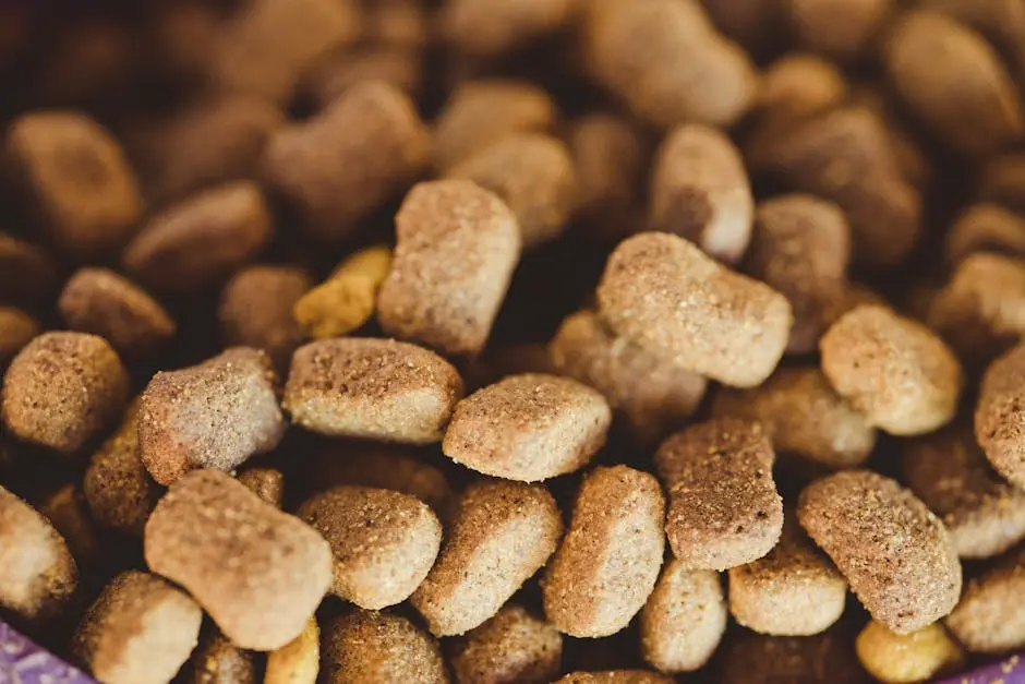 A close-up view of brown dog kibble, highlighting texture and variety.