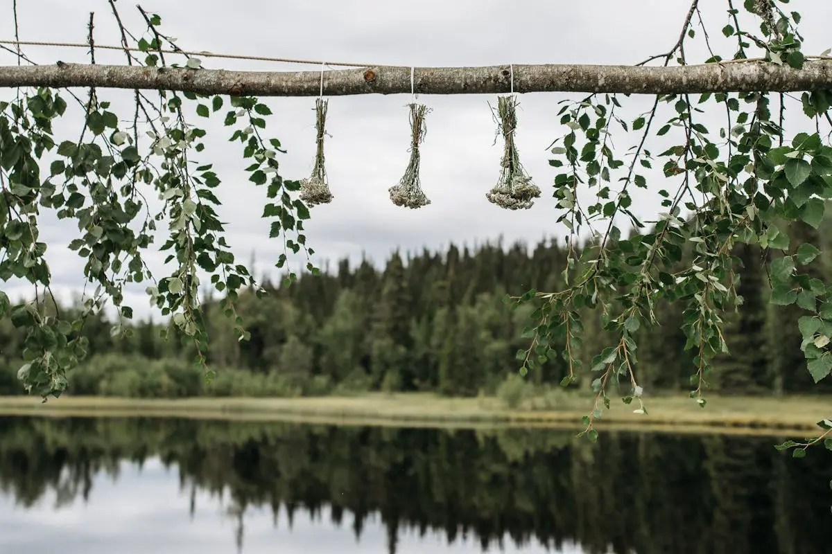 Calm outdoor view of a lake with herbs hanging from a branch surrounded by lush greenery.