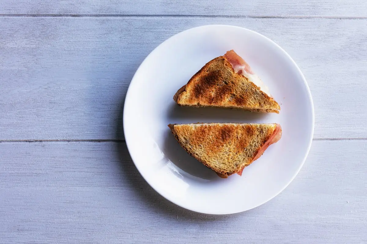 Toasted Sandwich with Cheese and Ham on a Plate