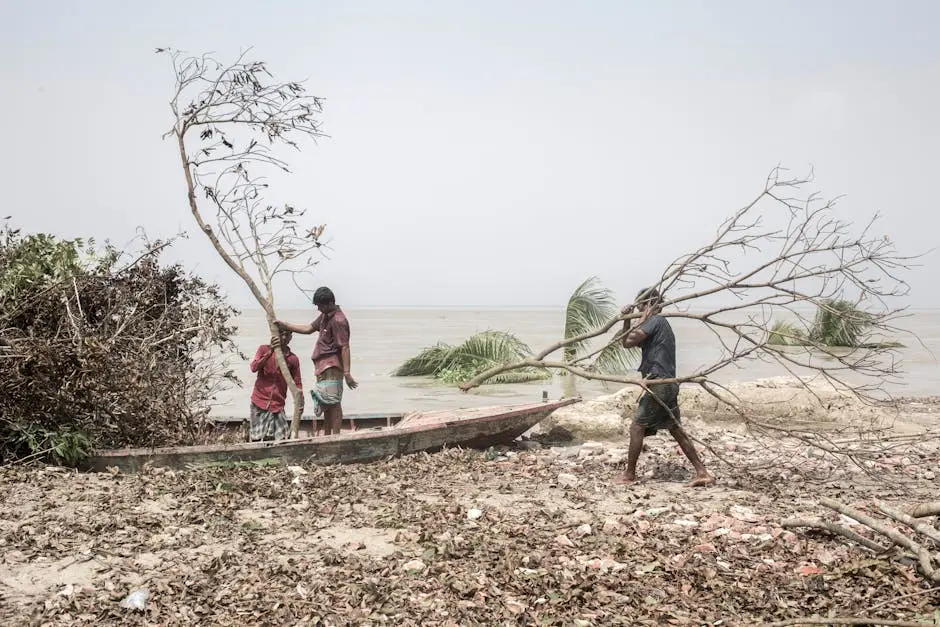 Image of people cleaning debris on a coastal beach after a storm.