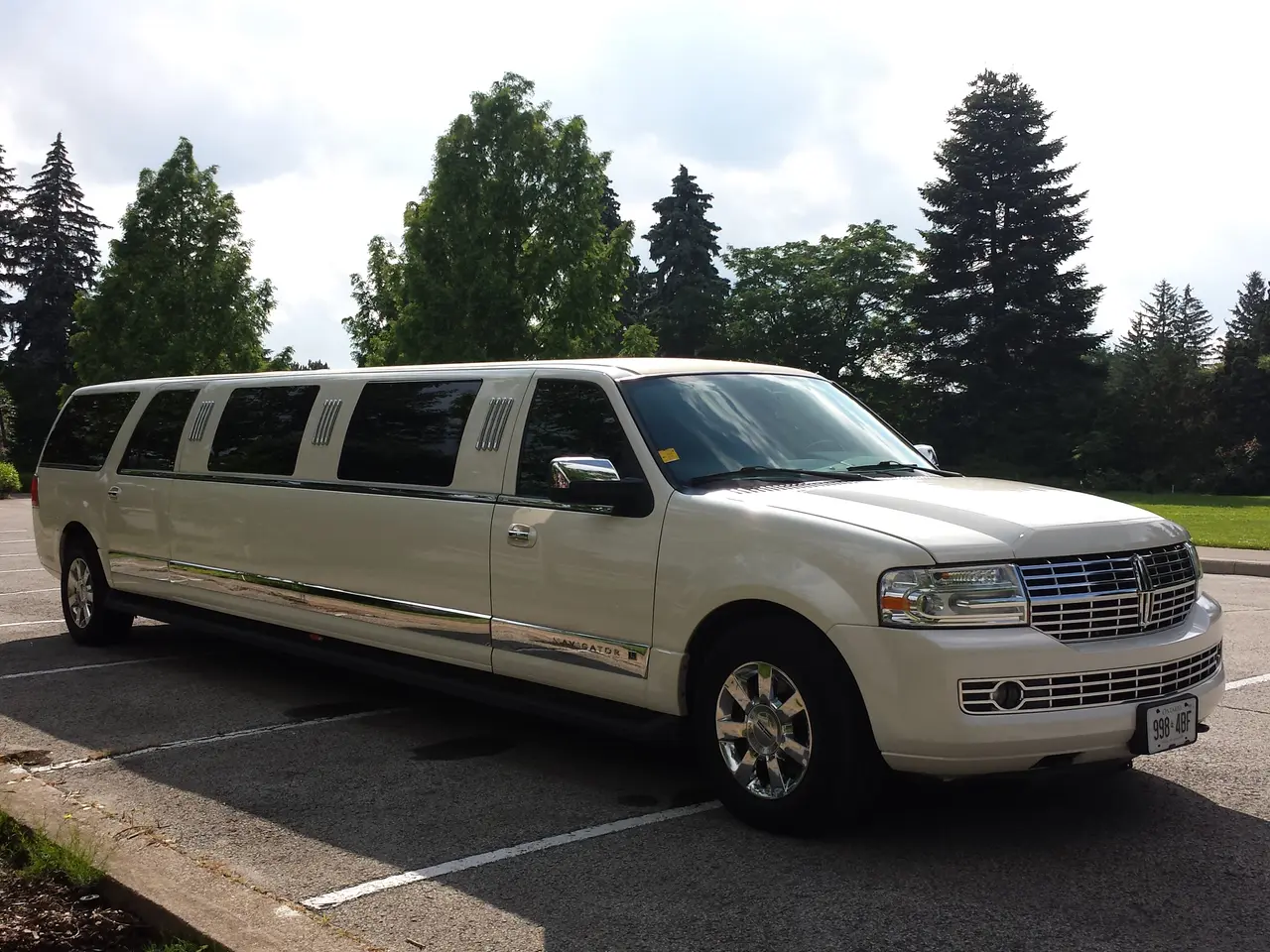 Business professional's limo services