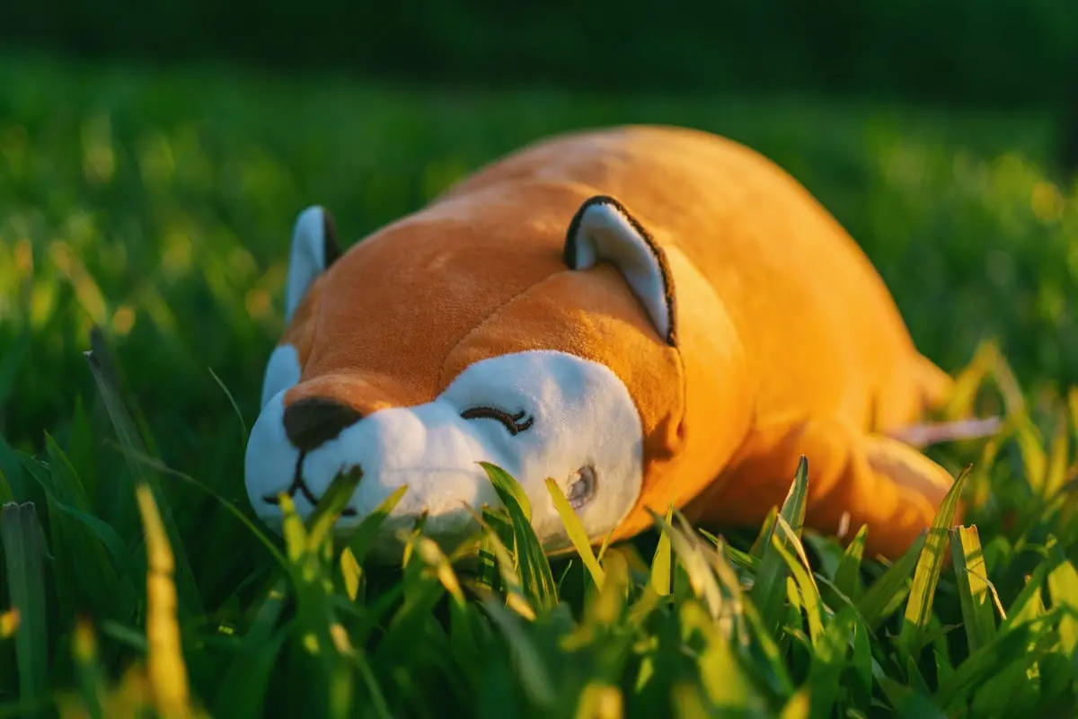 Orange and White Animal dog Plush Toy on Green Grasses in Focus Photography