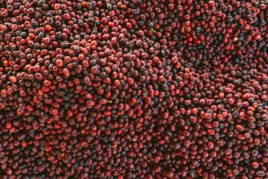 Pile of fresh, ripe coffee beans in a close-up shot, showcasing their rich colors and natural texture.