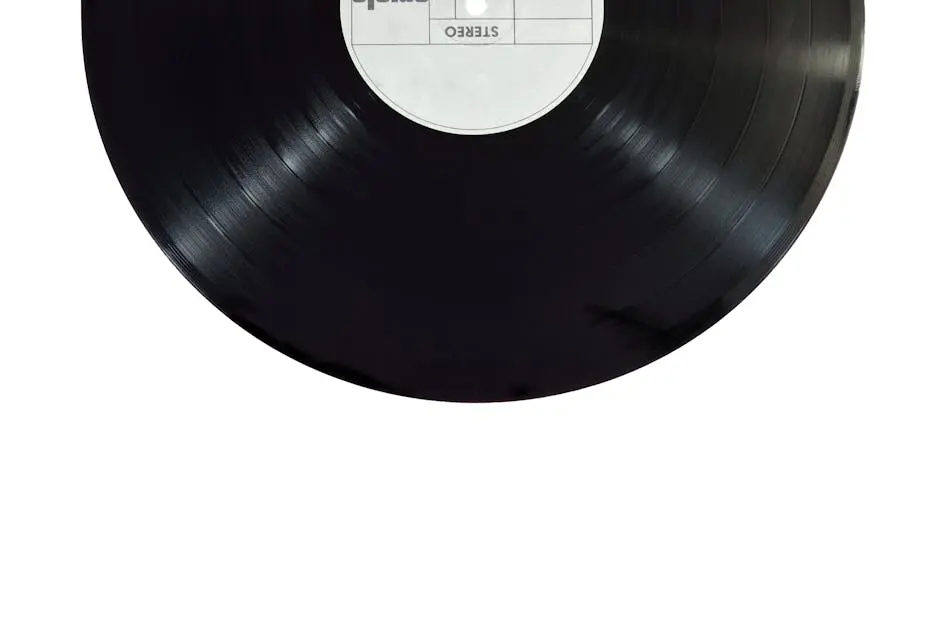 A classic black vinyl record isolated on a white background.