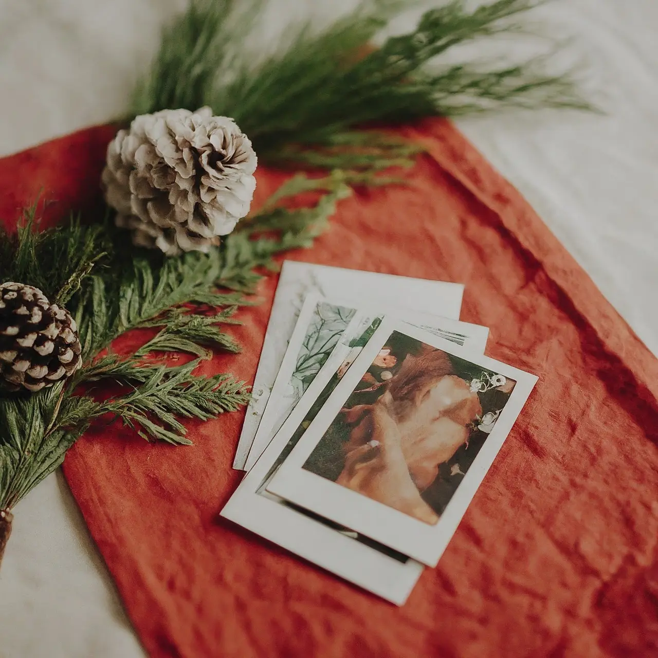 A variety of holiday photo cards spread on a festive table. 35mm stock photo