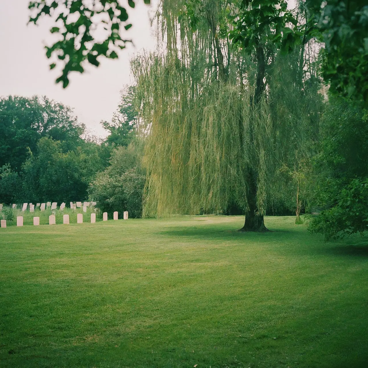 A serene green burial site in a beautiful natural setting. 35mm stock photo