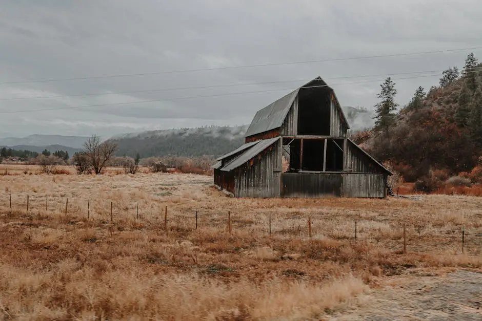 Weathered barn stands in a tranquil Colorado field, surrounded by fall foliage.