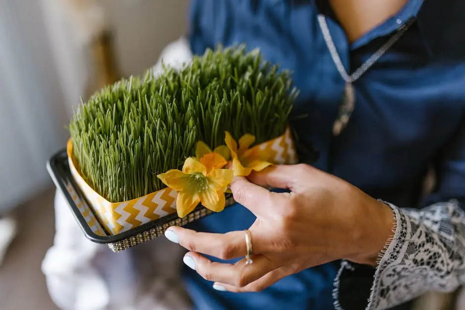 Woman Holding A Box Of Wheat Sprouts