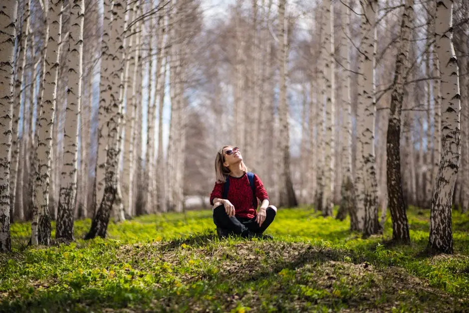 A woman sits peacefully in a sunlit birch tree forest, enjoying nature’s serenity.