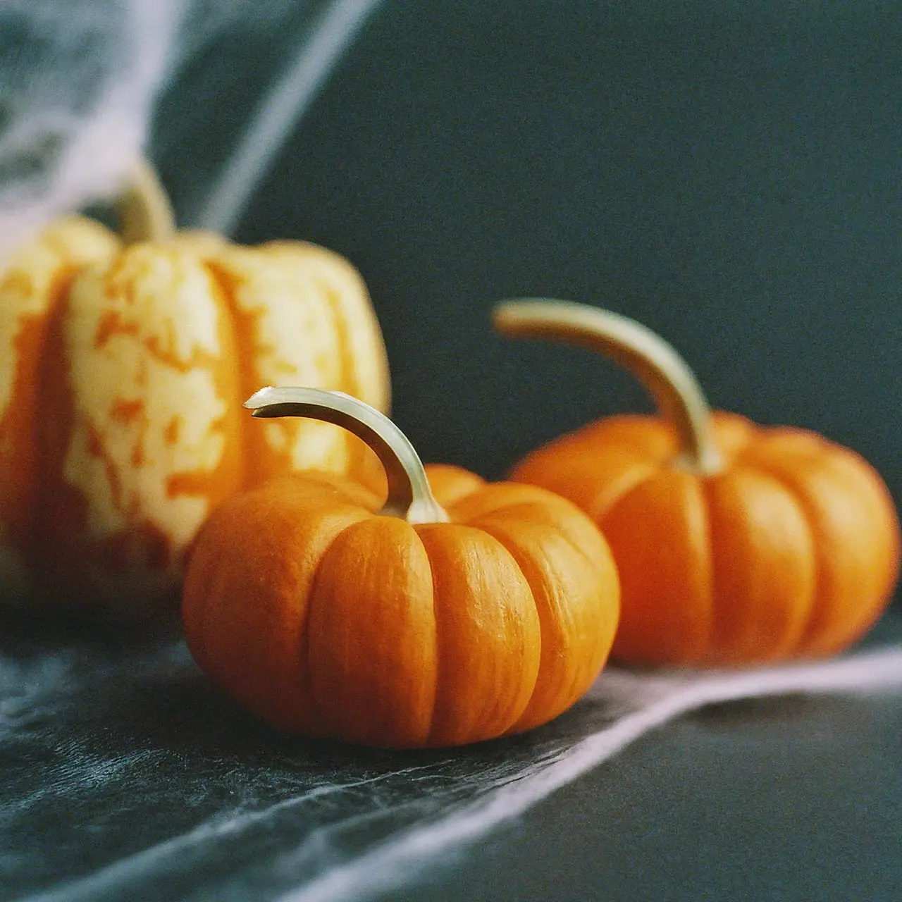 A spooky Halloween invitation with cobwebs and pumpkins. 35mm stock photo