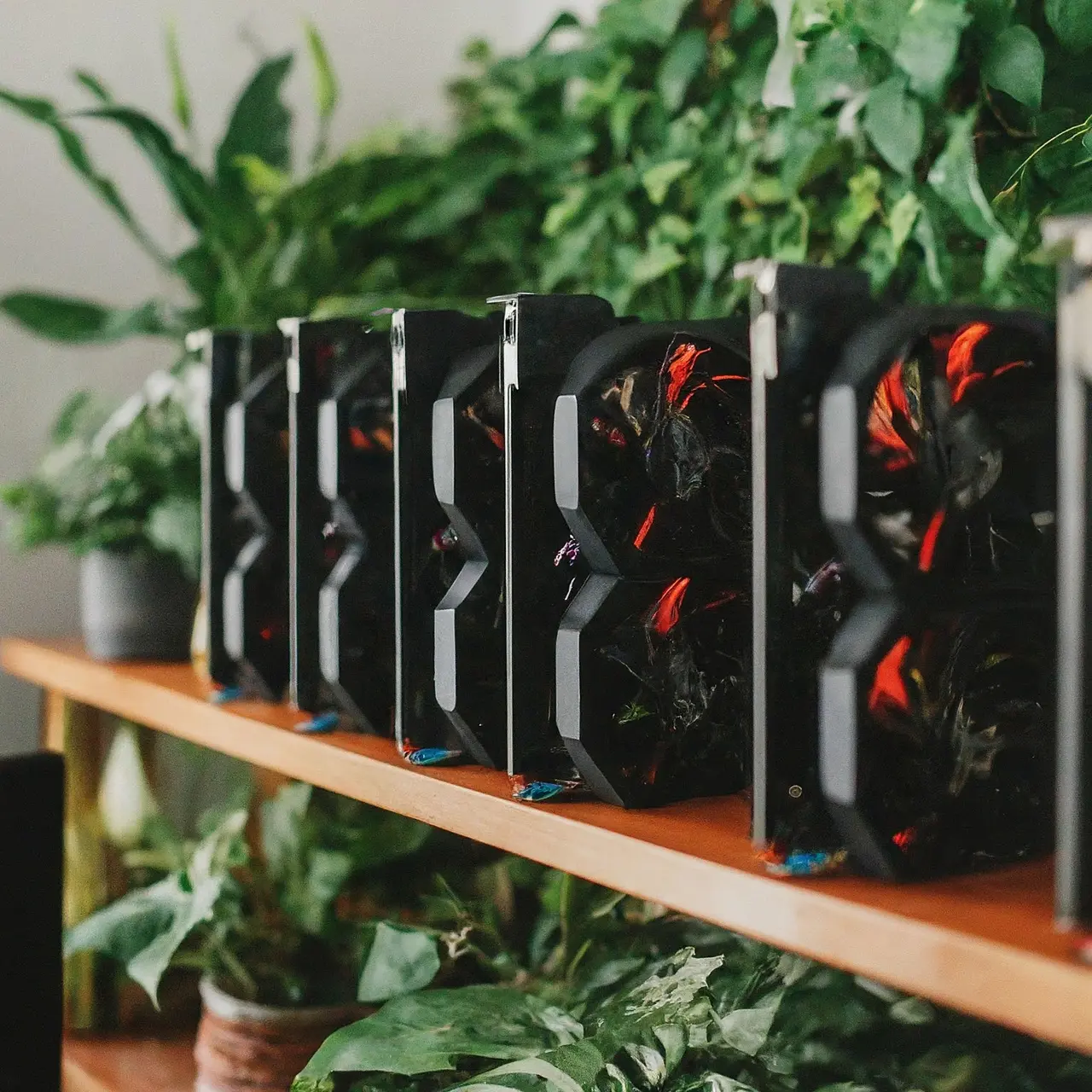 A computer setup with multiple GPUs surrounded by green plants. 35mm stock photo