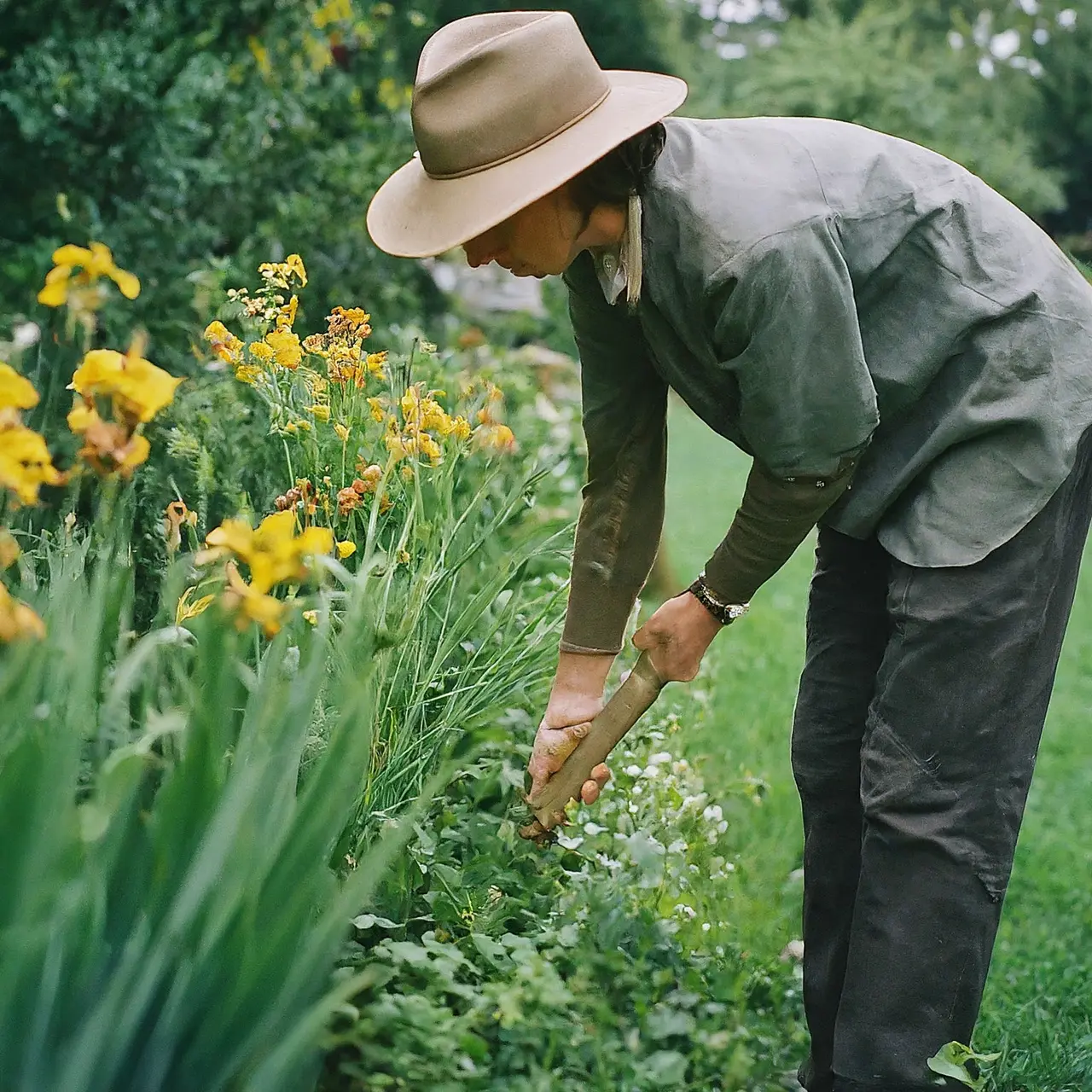 A gardener removing weeds from a flower bed. 35mm stock photo