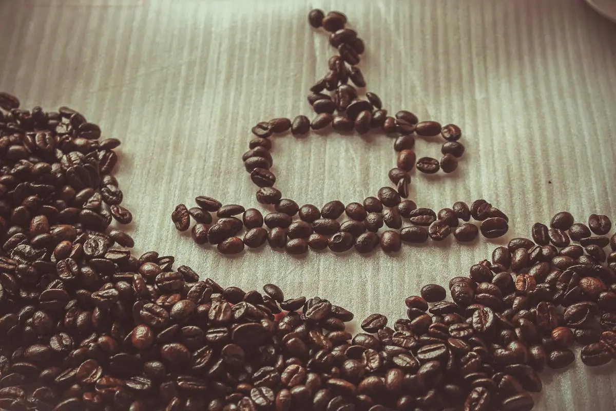 Brown Coffee Bean Forming Coffee Mug