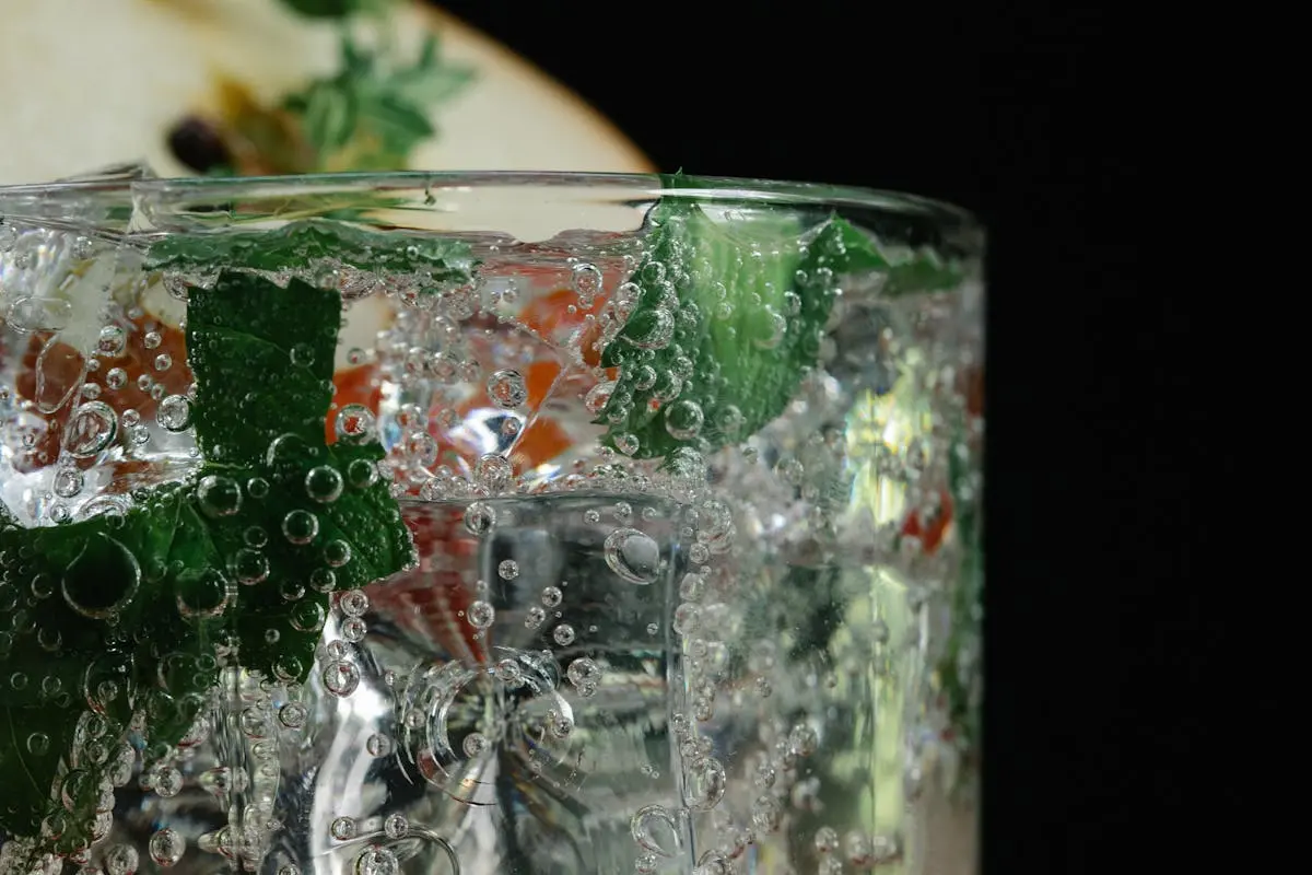 Close-up of a glass with sparkling water, ice, mint leaves, and fruit slice.