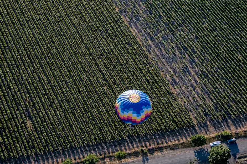 A colorful hot air balloon glides above a Napa Valley vineyard.