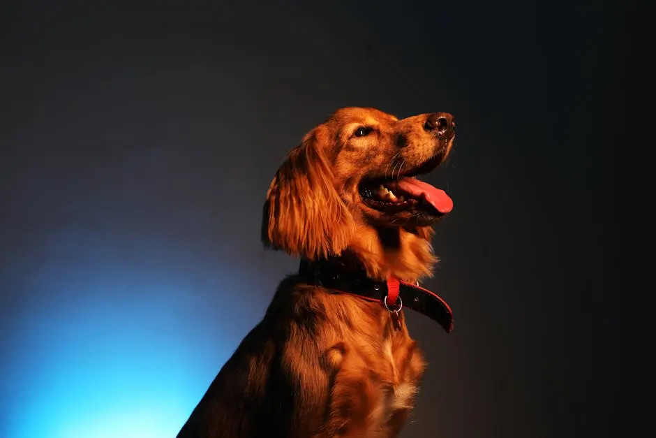 Portrait of Happy Dog